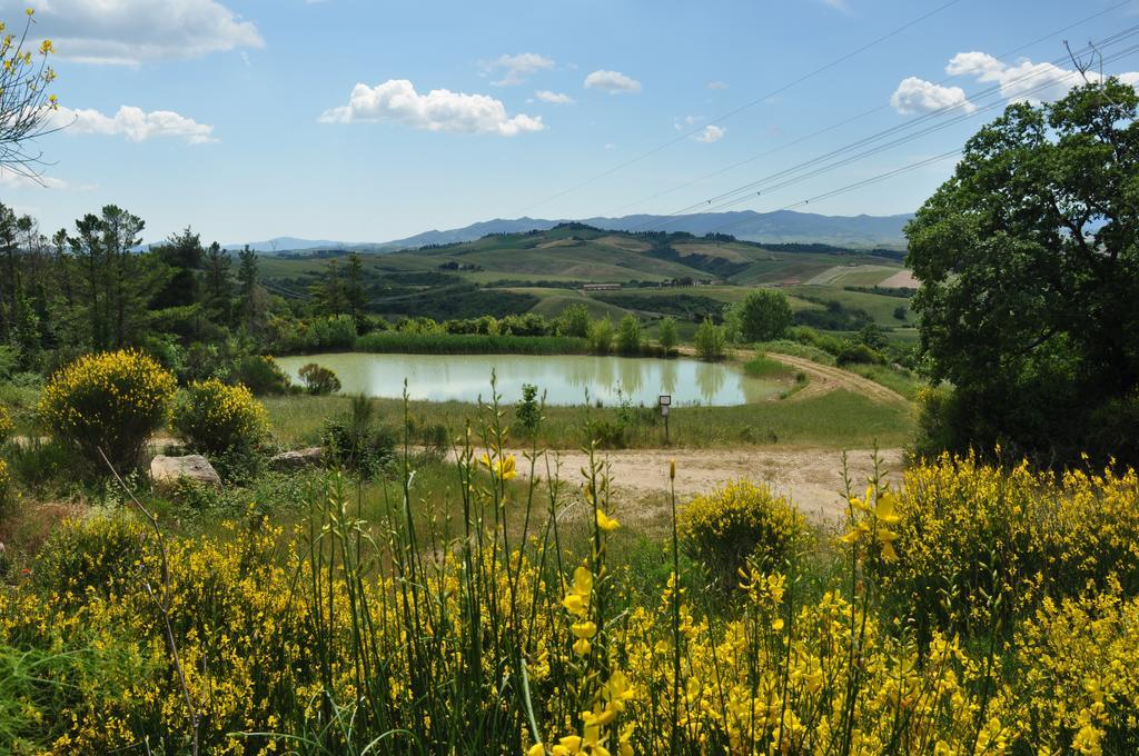 Agriturismo Eco-Bio Belmonte Vacanze Montaione Exterior photo